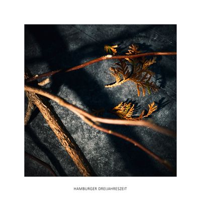 HAMBURGER DREIJAHRESZEIT
