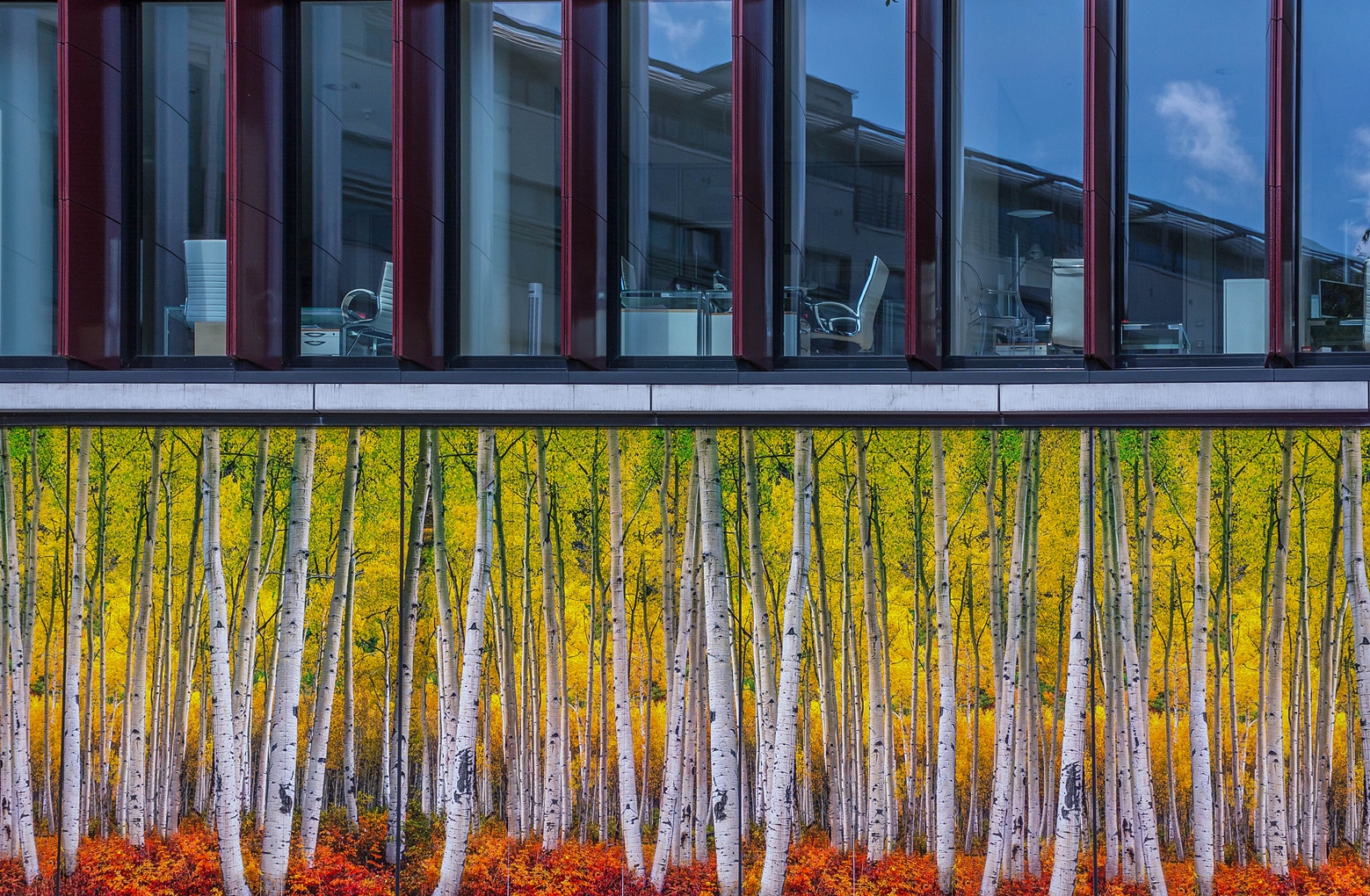 Hamburger Fassade