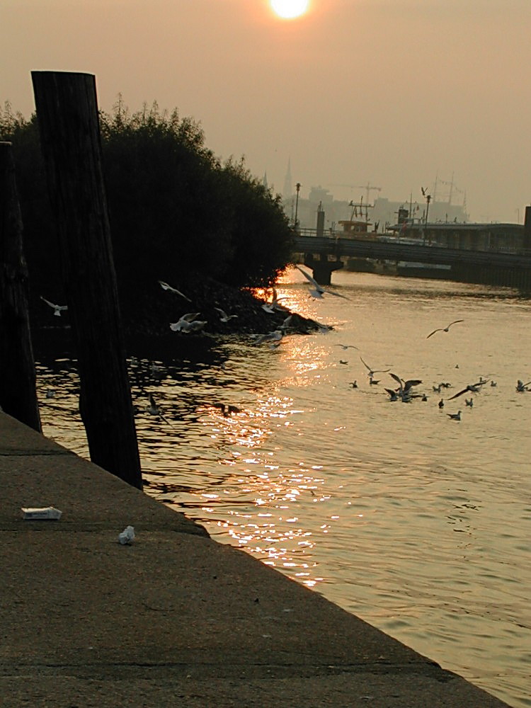 hamburger hafen