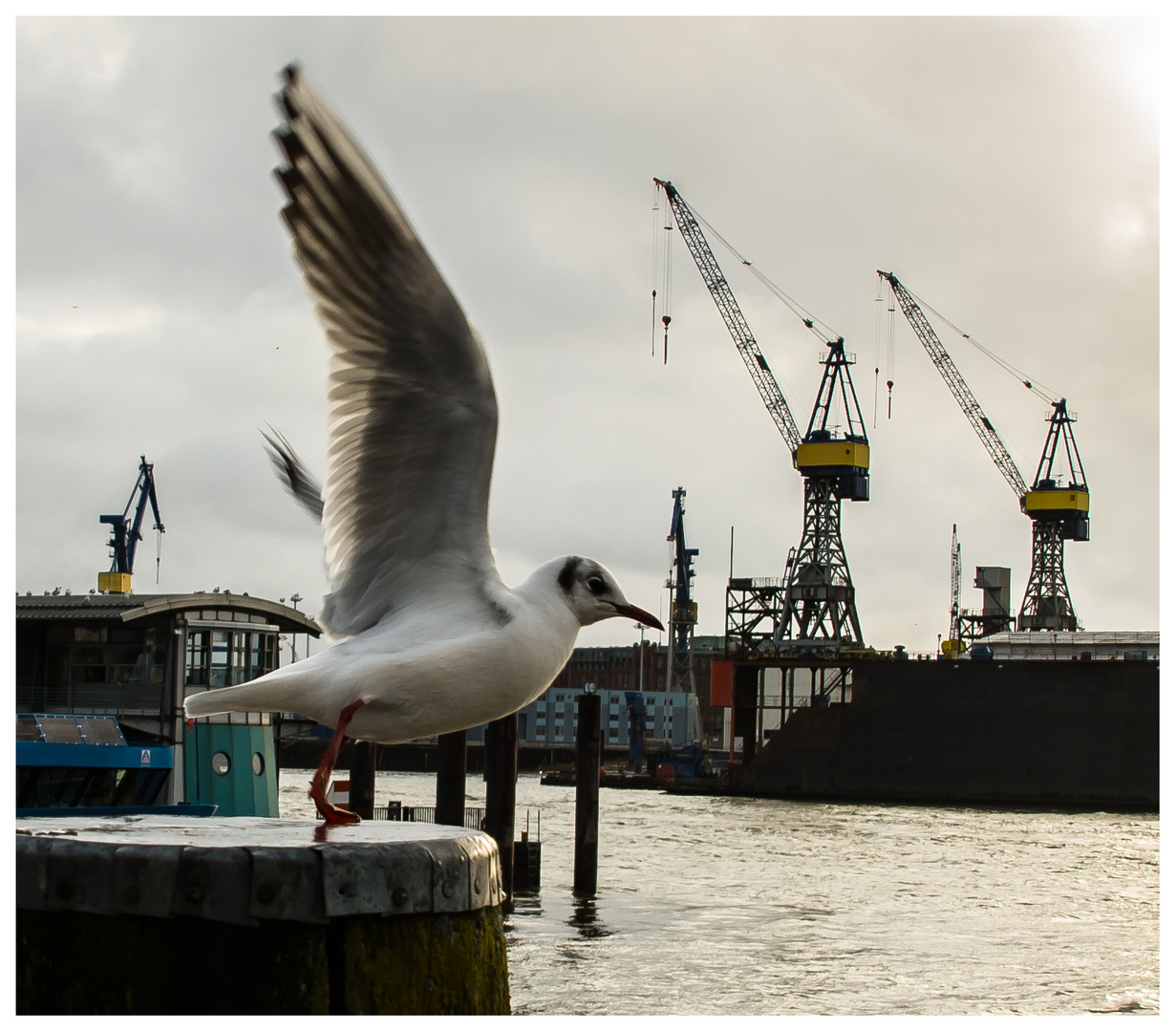 Hamburger Hafen