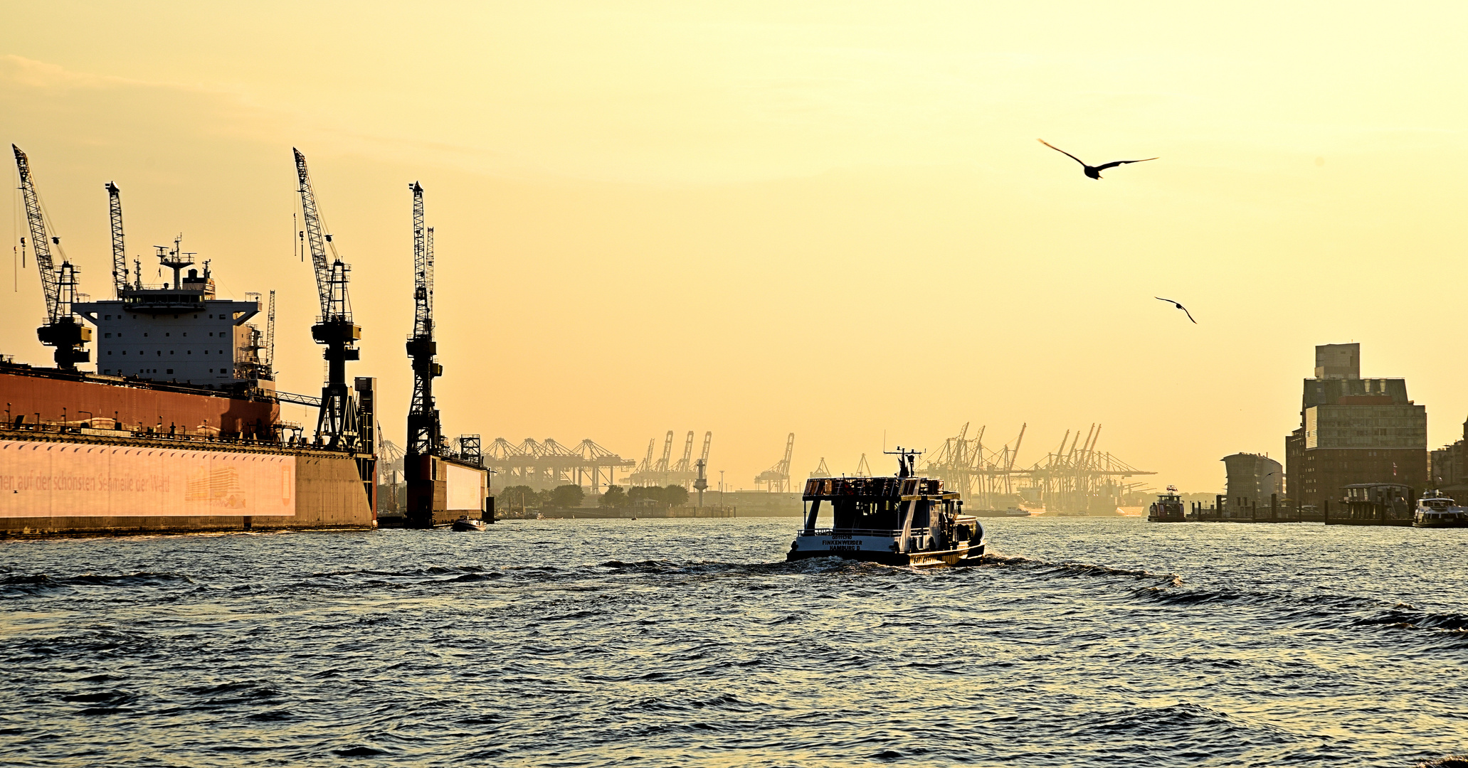 Hamburger Hafen August 2015