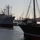 Hamburger Hafen (Cap San Diego & Rickmer Rickmers)