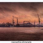 Hamburger Hafen Pano 