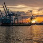 Hamburger Hafen - Sonnenaufgang