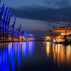 Hamburger Hafen Waltershof Blue Port bei Nacht