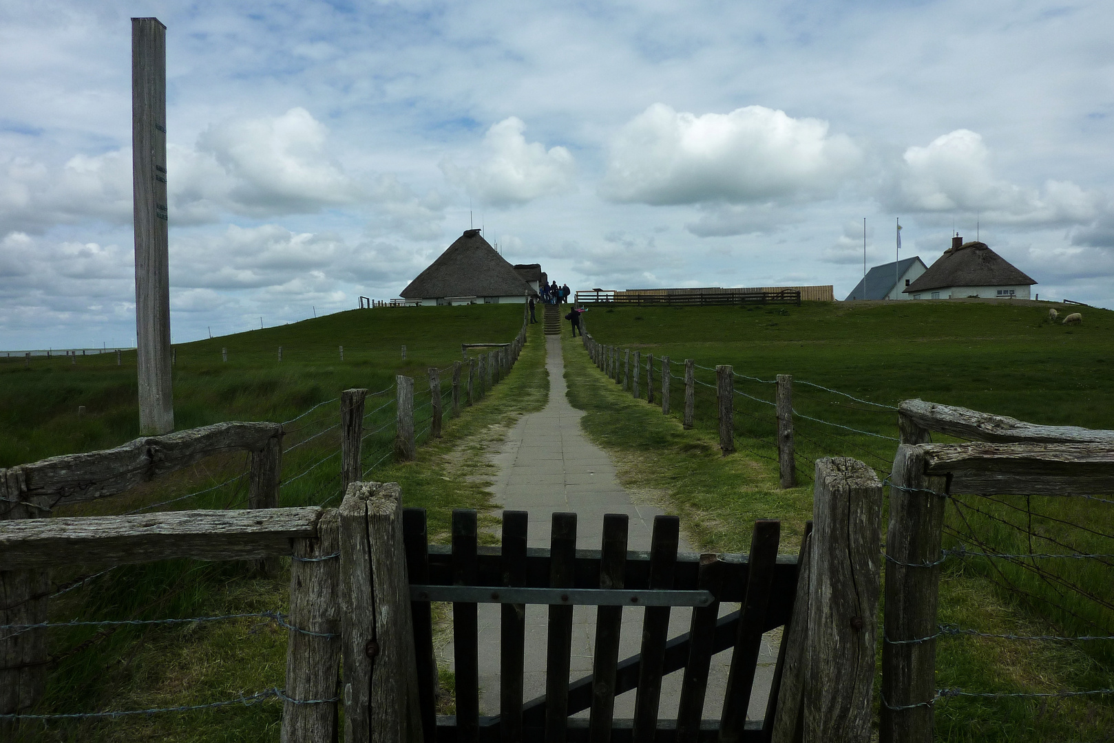 Hamburger Hallig - 01