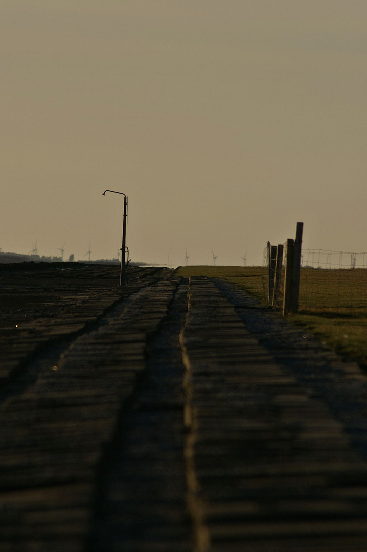 Hamburger Hallig