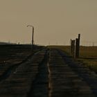 Hamburger Hallig