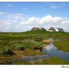 Hamburger Hallig