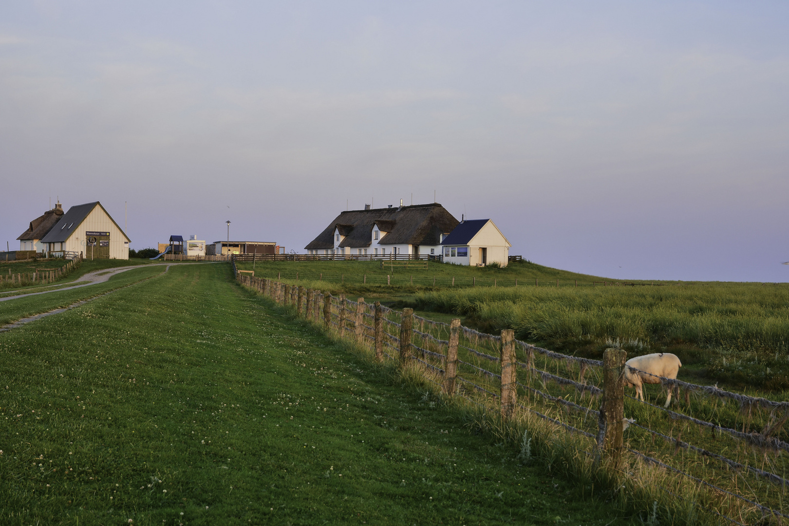 Hamburger Hallig