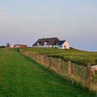 Hamburger Hallig