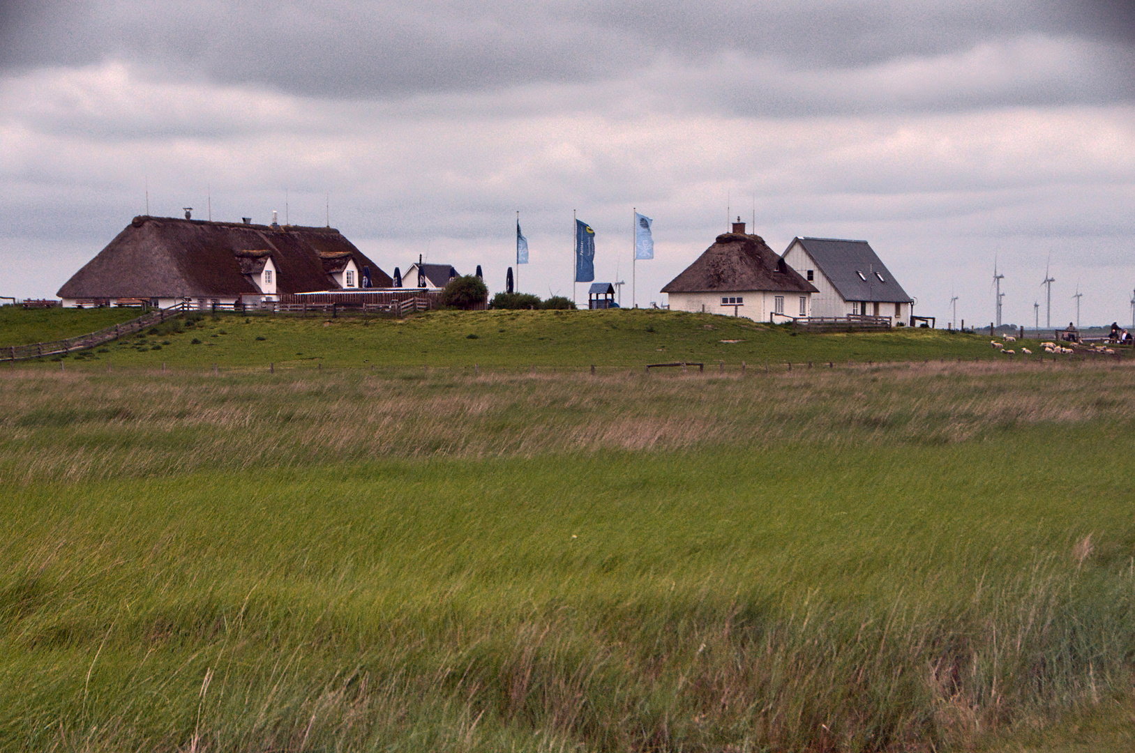 Hamburger Hallig