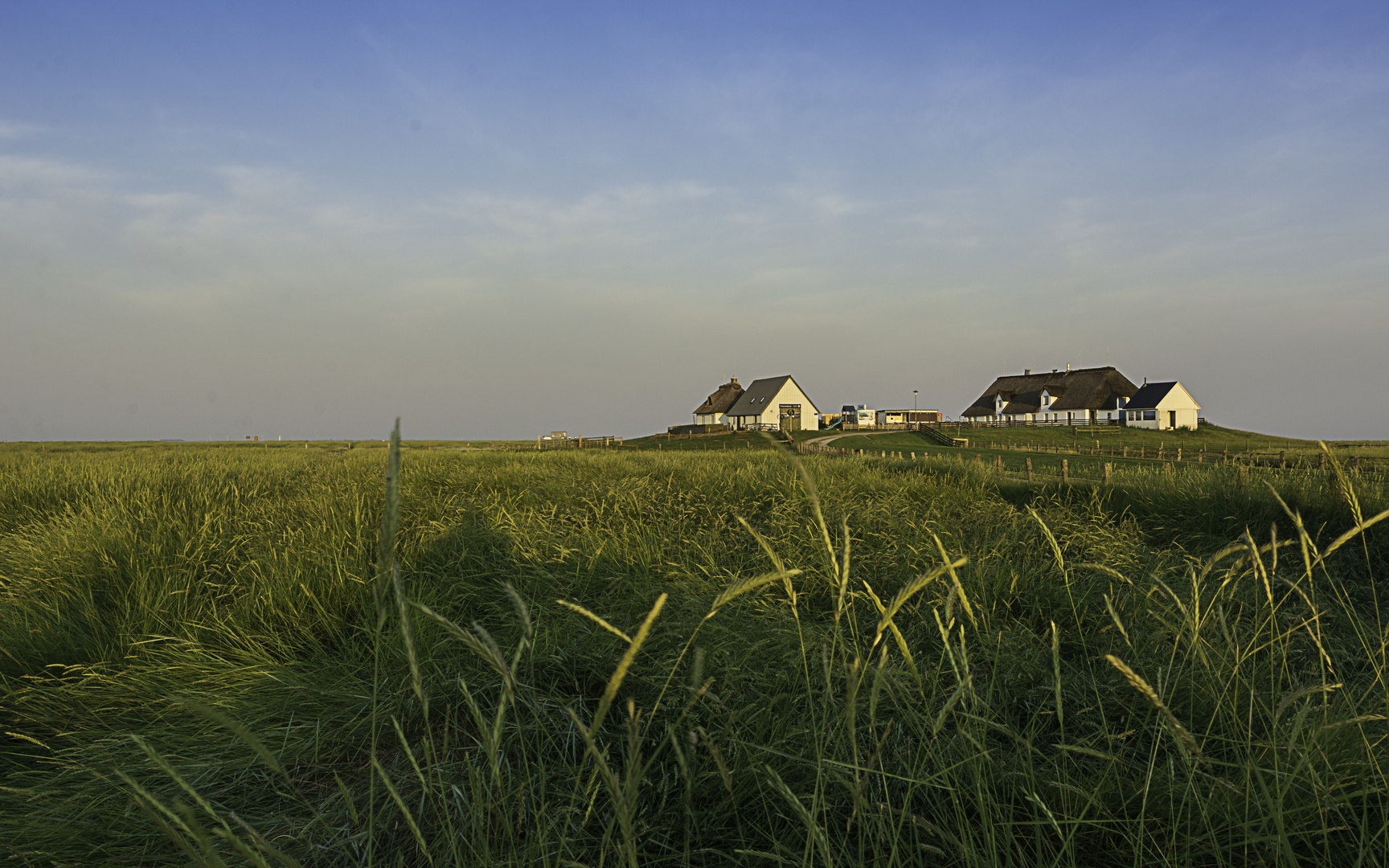 Hamburger Hallig