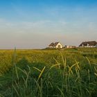 Hamburger Hallig