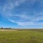 Hamburger Hallig