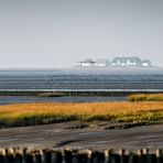 Hamburger Hallig