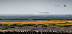 Hamburger Hallig