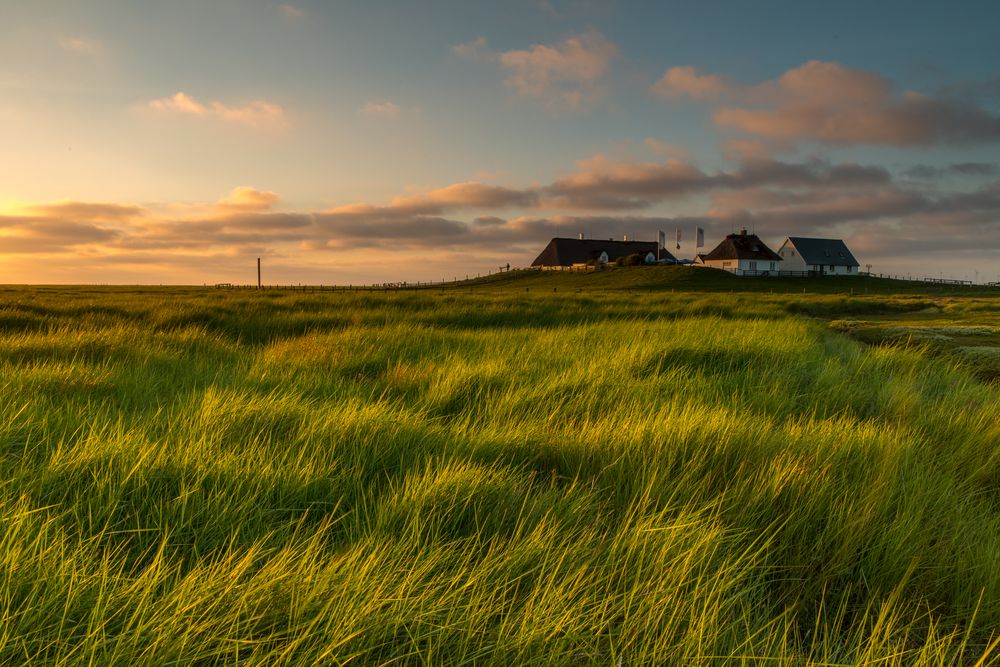 Hamburger Hallig am Abend