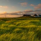 Hamburger Hallig am Abend