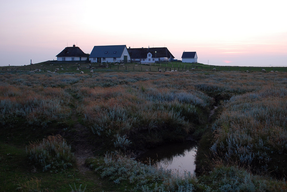 Hamburger Hallig am Abend