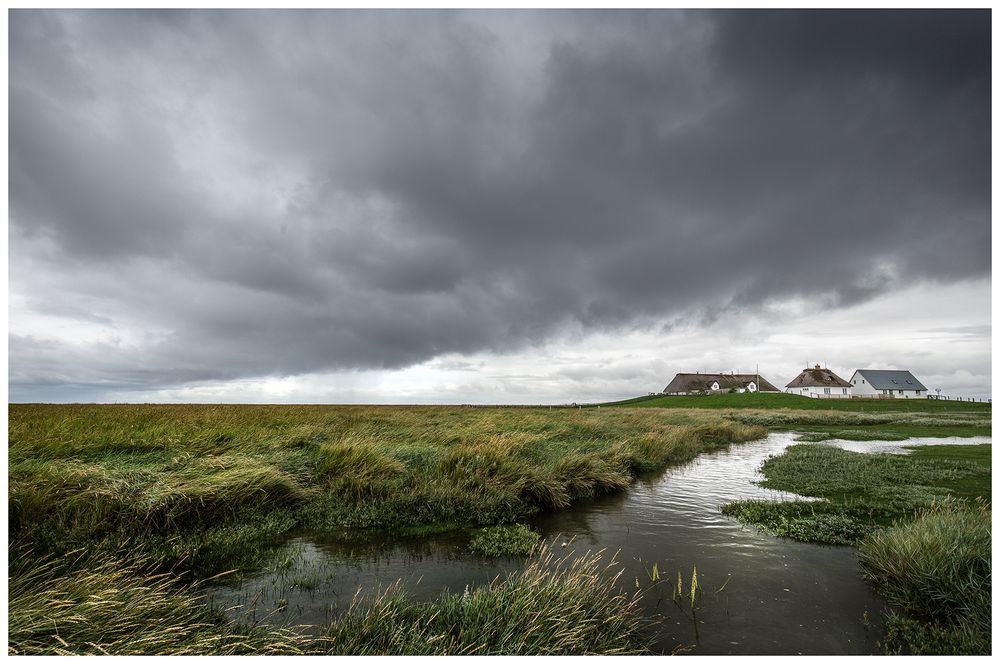 Hamburger Hallig