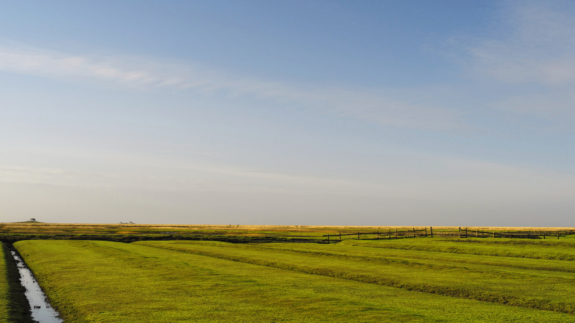 Hamburger Hallig