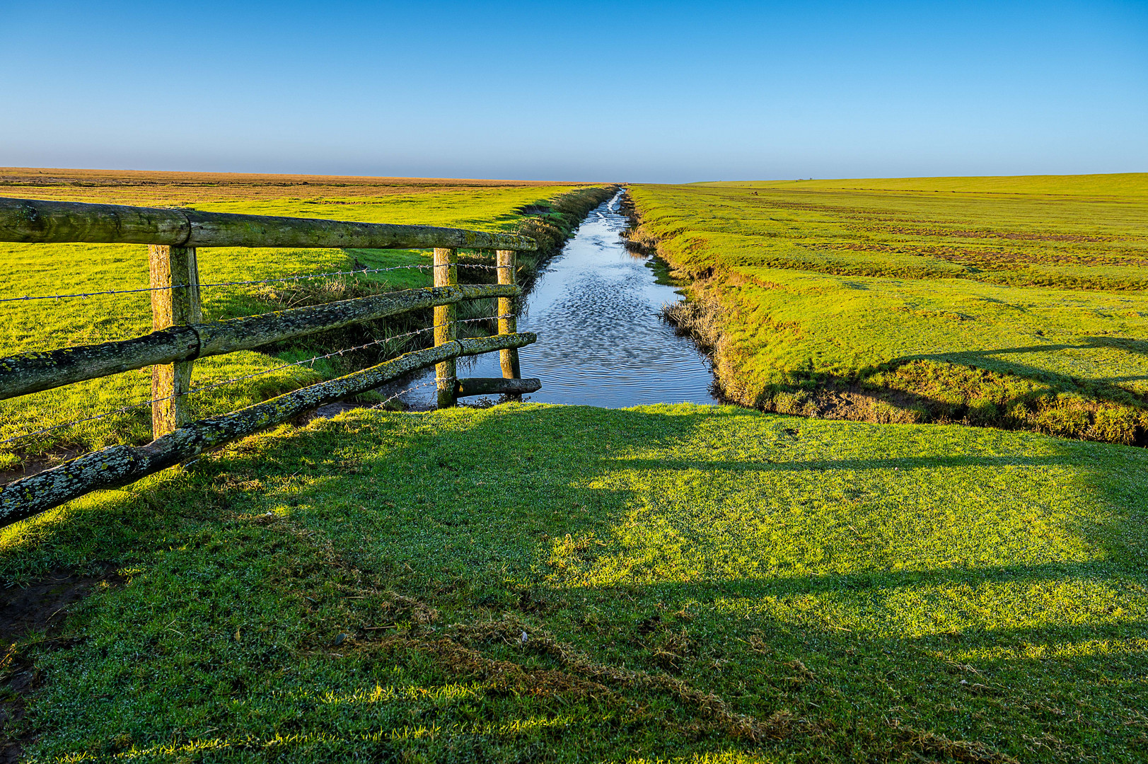 Hamburger Hallig im Dezember