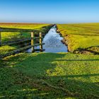 Hamburger Hallig im Dezember