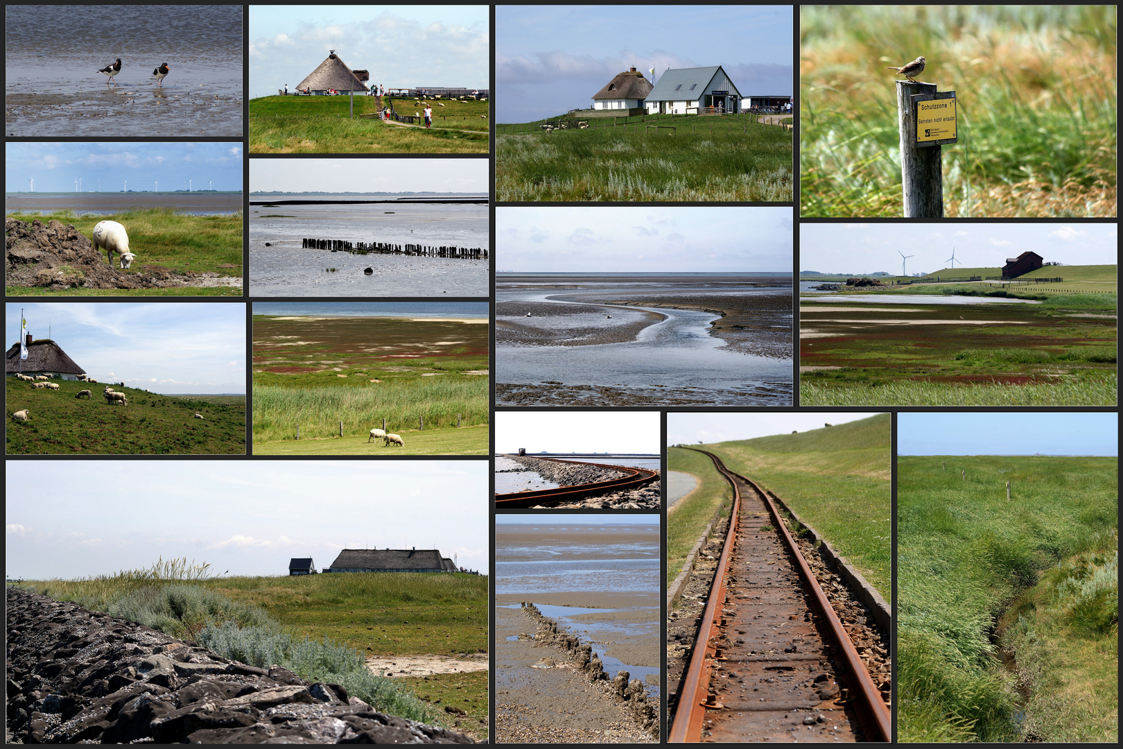 Hamburger Hallig....ein kleiner Überblick