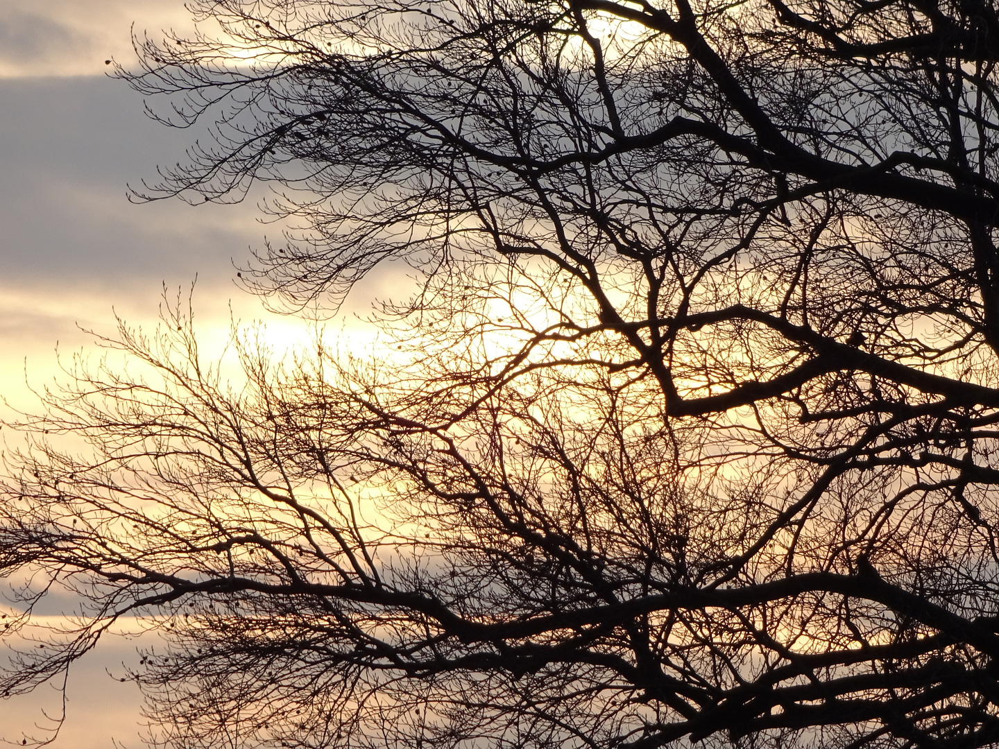 Hamburger Himmel