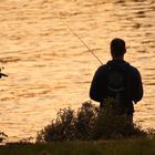 Hamburger Jung beim Fischen an der Elbe