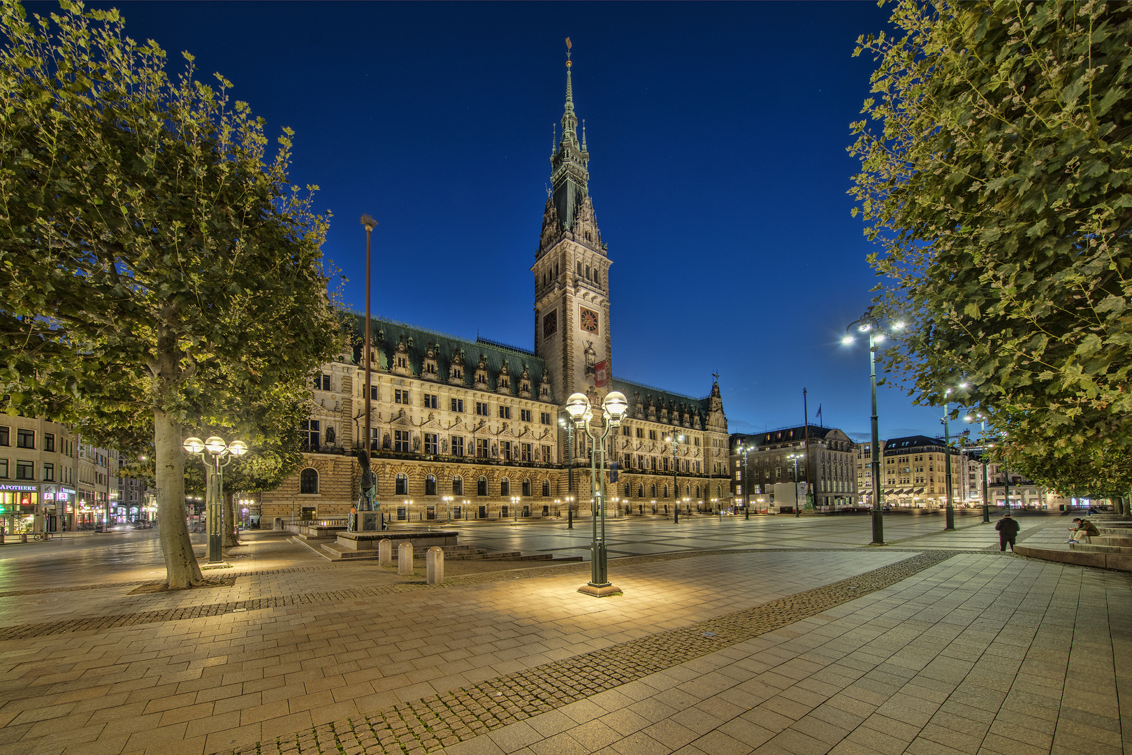 Hamburger Rathaus - 03101902