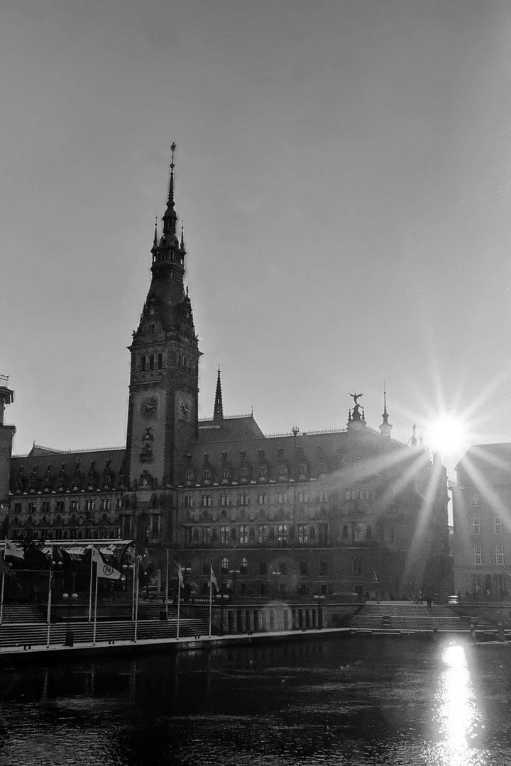 Hamburger Rathaus (analog)