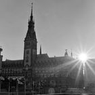 Hamburger Rathaus (analog)