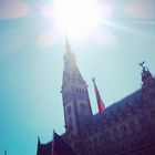 Hamburger Rathaus im Sommer