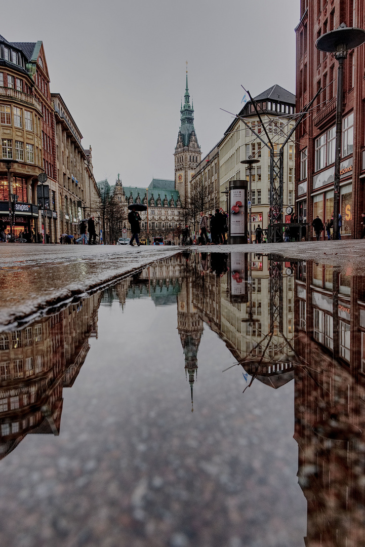 Hamburger Rathaus im Spiegel