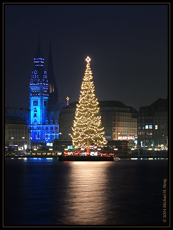 Hamburger Rathaus mit Weihnachtsbaum