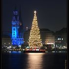 Hamburger Rathaus mit Weihnachtsbaum