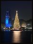 Hamburger Rathaus mit Weihnachtsbaum von Michael H. Heng