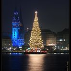 Hamburger Rathaus mit Weihnachtsbaum