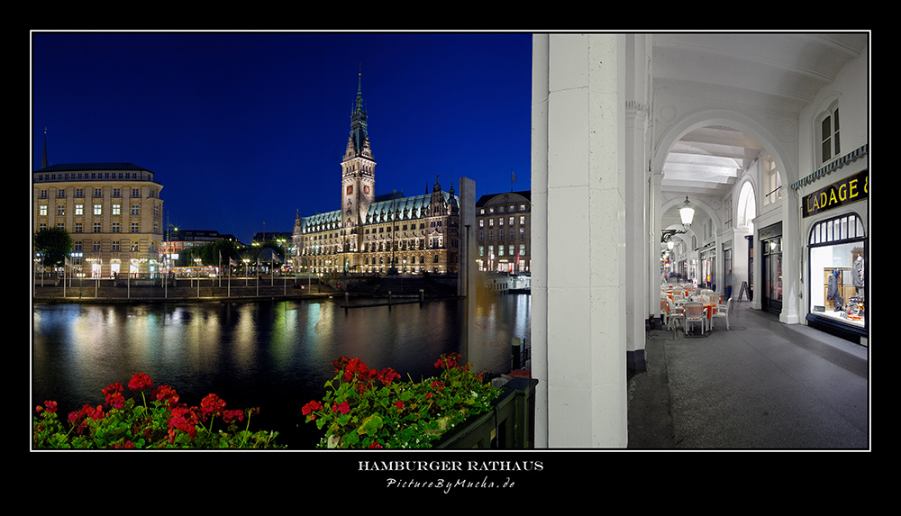 Hamburger Rathaus /pano/