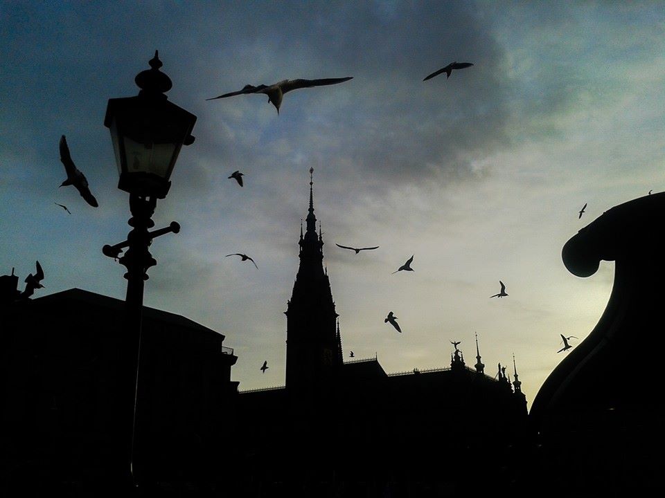 Hamburger Rathaus Silhouette Die Vögel Darkness