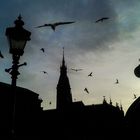 Hamburger Rathaus Silhouette Die Vögel Darkness