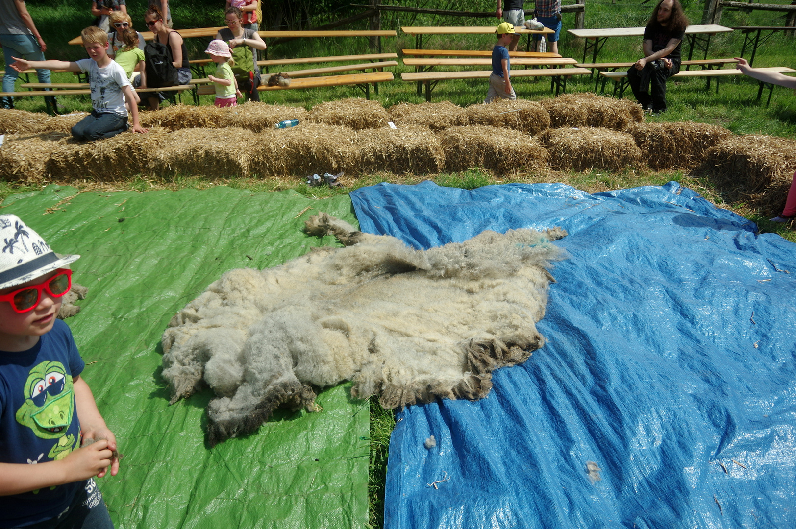 Hamburger Schafschurfest 21