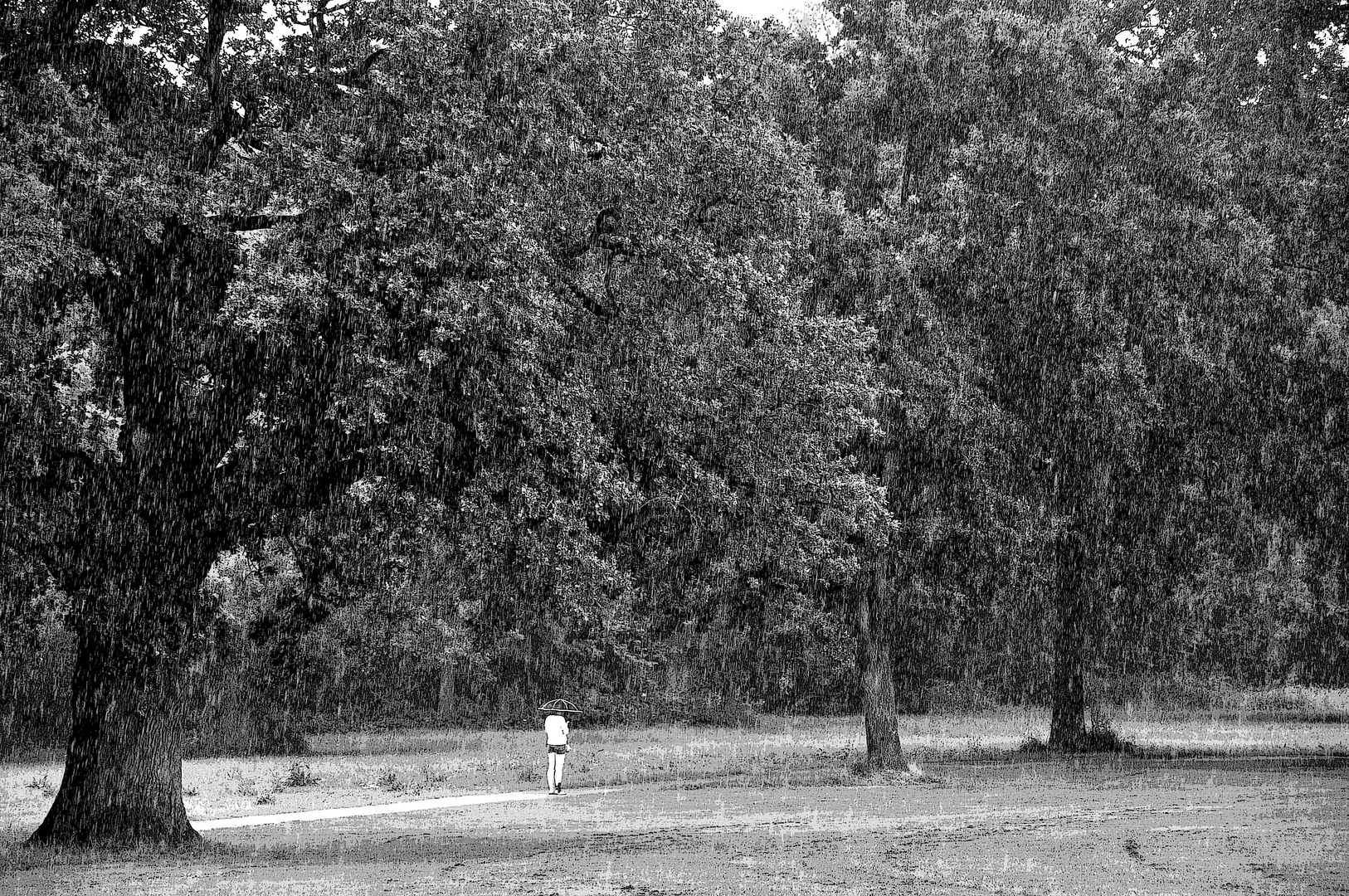 Hamburger (Schiet)Wetter