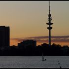 Hamburger Skyline