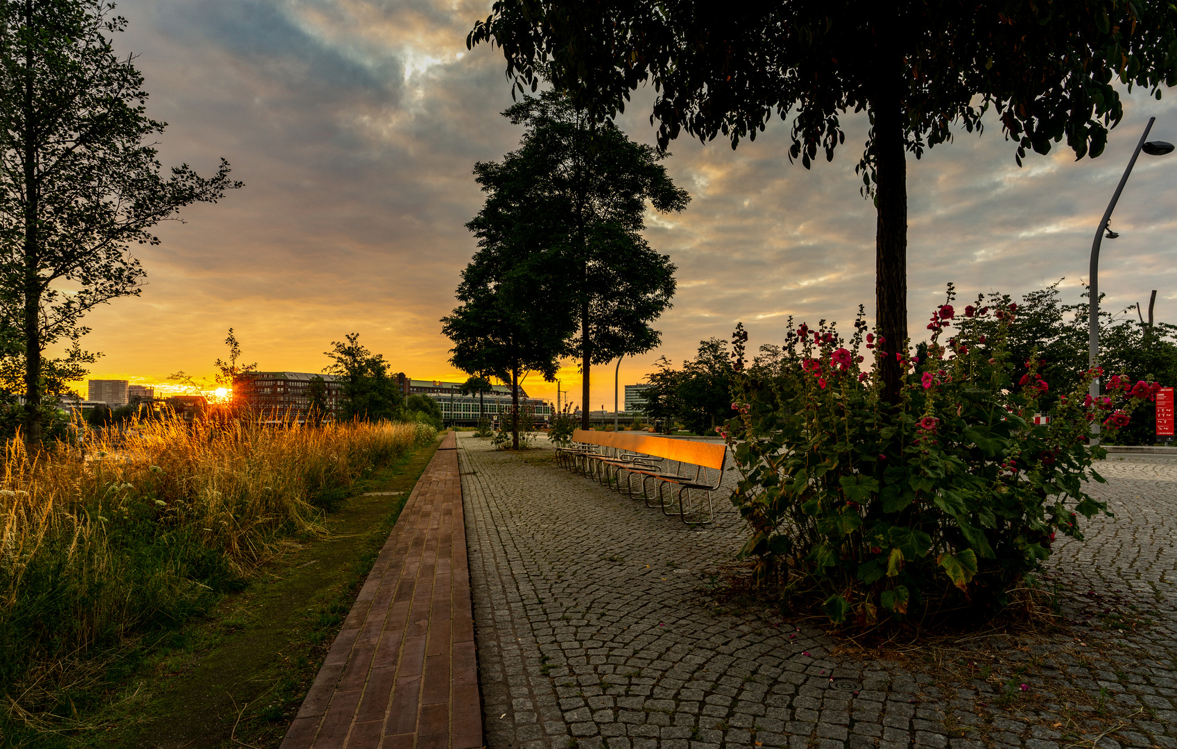 Hamburger Sonnenaufgang II - 