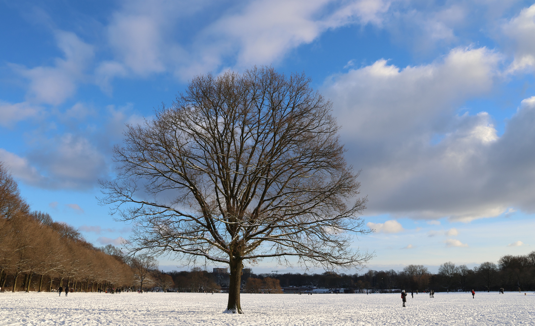 Hamburger Stadtpark