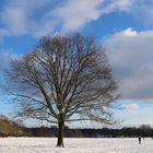 Hamburger Stadtpark