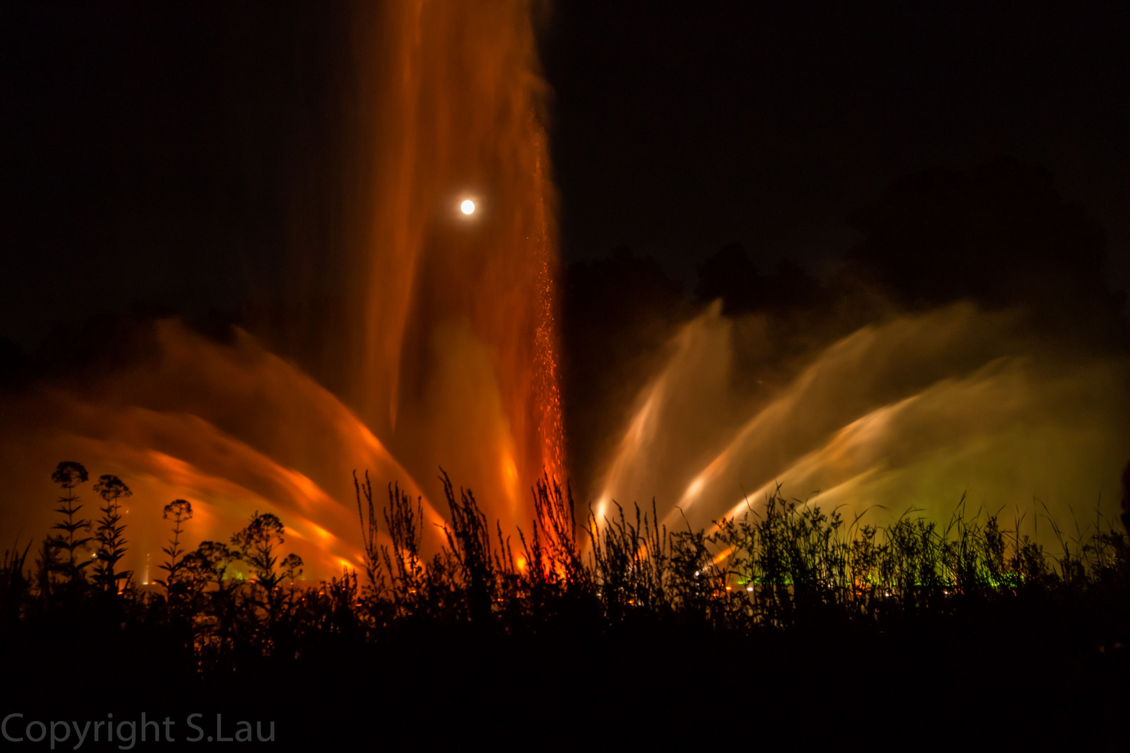 Hamburger Wasserlichtspiele